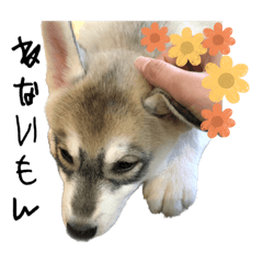 Mano_20231106004750
