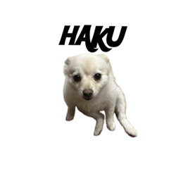 haku_20231106002747