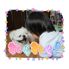 megumi_20231106152912