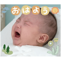 tomomi_20231106164109