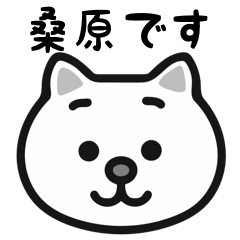 Kuwahara cat sticker