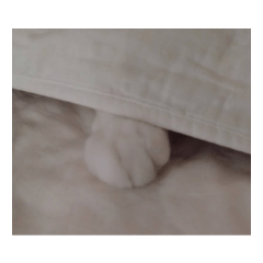 mayu-n_20231106204438