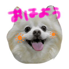 Yuka_20231106205031