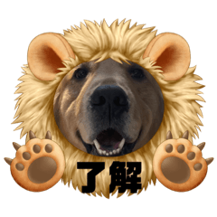 Sakura_20231106211156