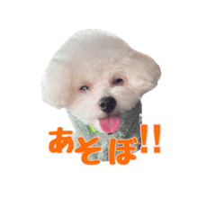 natsumi_20231107000503