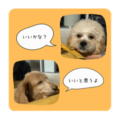 Nao_20231107000241