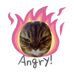 Latte Grumpy Cat