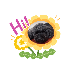 Hi!我是小叮噹