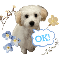 natsumi_20231107163814