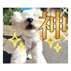 tomomi_20231107202155