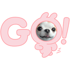 Natsumi_20231107182835