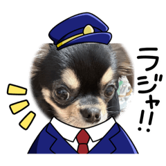 yuka_20231108001618