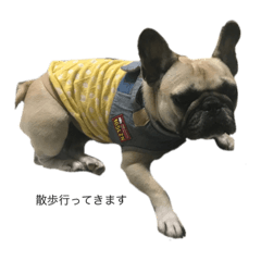 Shiroo_20231107203956