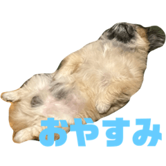 hana_20231107234957