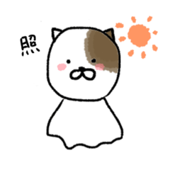 Teruteru Bozu cat