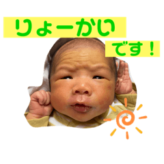 yayoi_20231108083508
