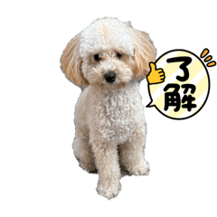 nao_20231108135441
