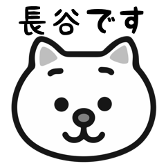 Hase cat sticker