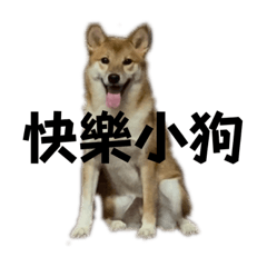不知道哈