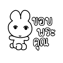 sunny_20231108201710