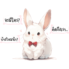 สโนว์ : กระต่ายน้อย