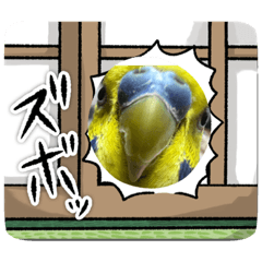 raimu&azuki_20231108170514