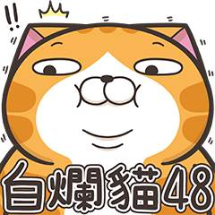 เหมียวซ่า 48 (Taiwan Version)