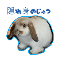 omochi_20231108195307