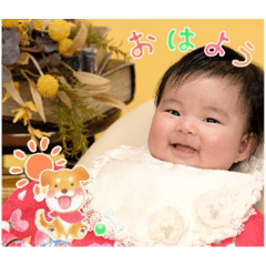 MSK_20231108220645