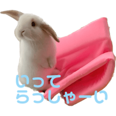 omochi_20231108222657