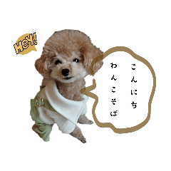 TSUBAKI_20231109062020