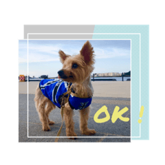 mayu_20231109113354 (modified)