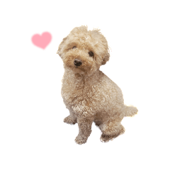 kana_20231108232202