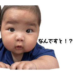 aooooo_20231108224923