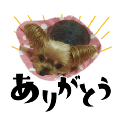 Hana_20231109135436