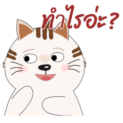 Kamato : Funny cat in daily life (TH)