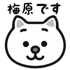 Umehara cat sticker