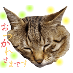 yuka_20231109180614