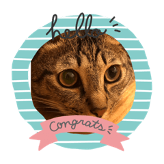 Sakura_20231109162115