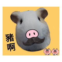 物超所值版