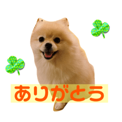 OMOCHI_20231109201810