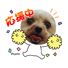 purin_20231110114213