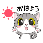 cat's daily life is fun