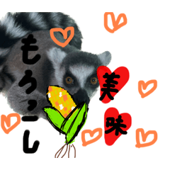 natsumi_20231110095738