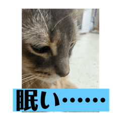 aqua123_20231109234956