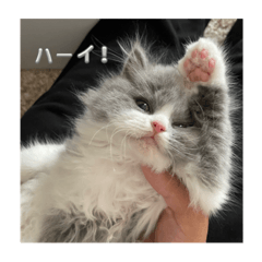 yuka_20231109235459