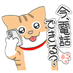 Mei and Kon daily life 01 - LINE スタンプ | LINE STORE