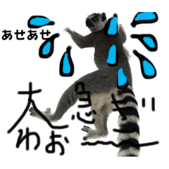 natsumi_20231110014757