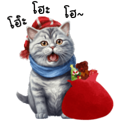 ฮาร์ฟแมวจอมดื้อ : คริสต์มาส และ ปีใหม่