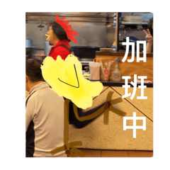 齁頻柚